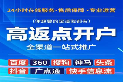 SEM运营策略案例分析